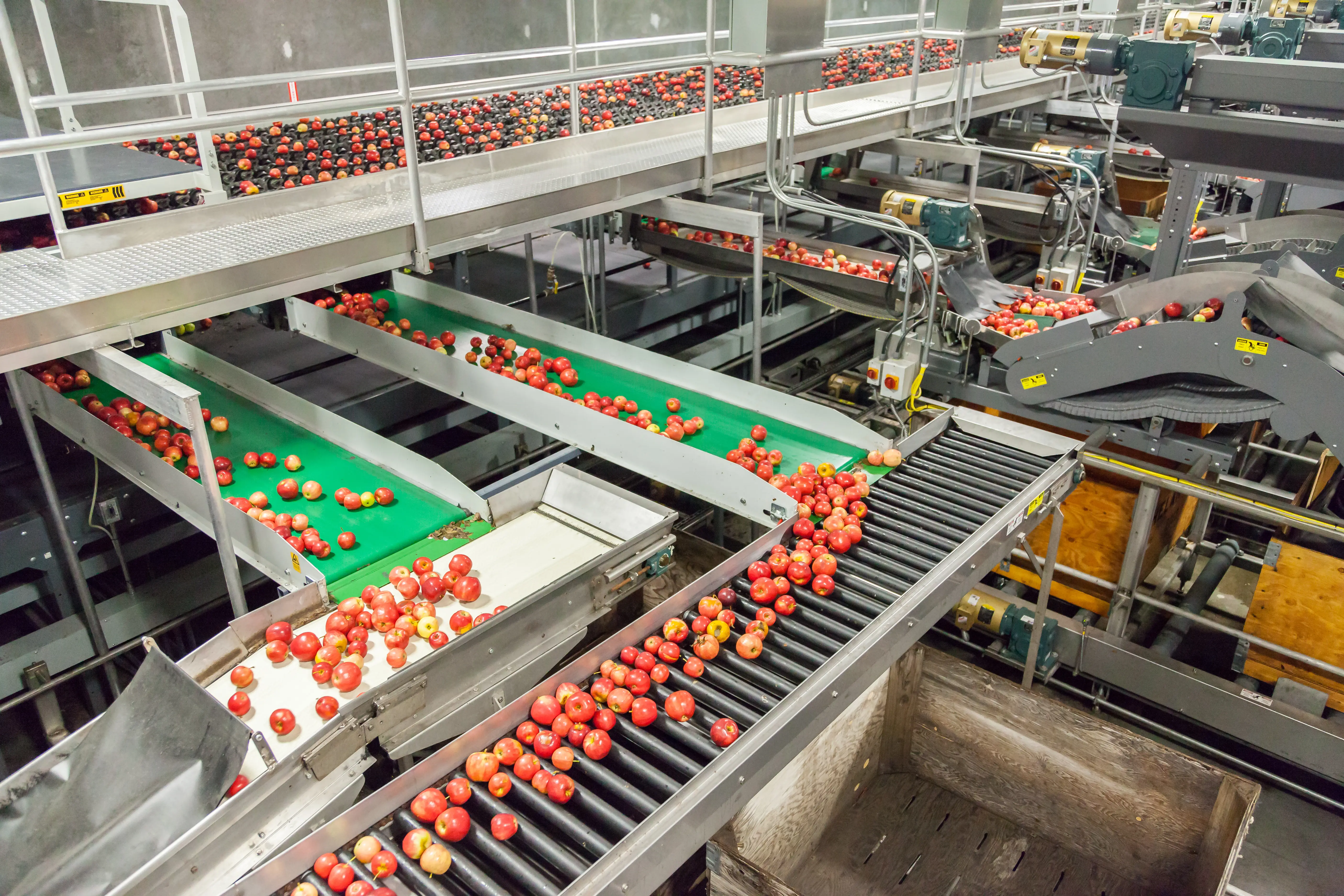 Professional pest control technician inspecting food processing facility