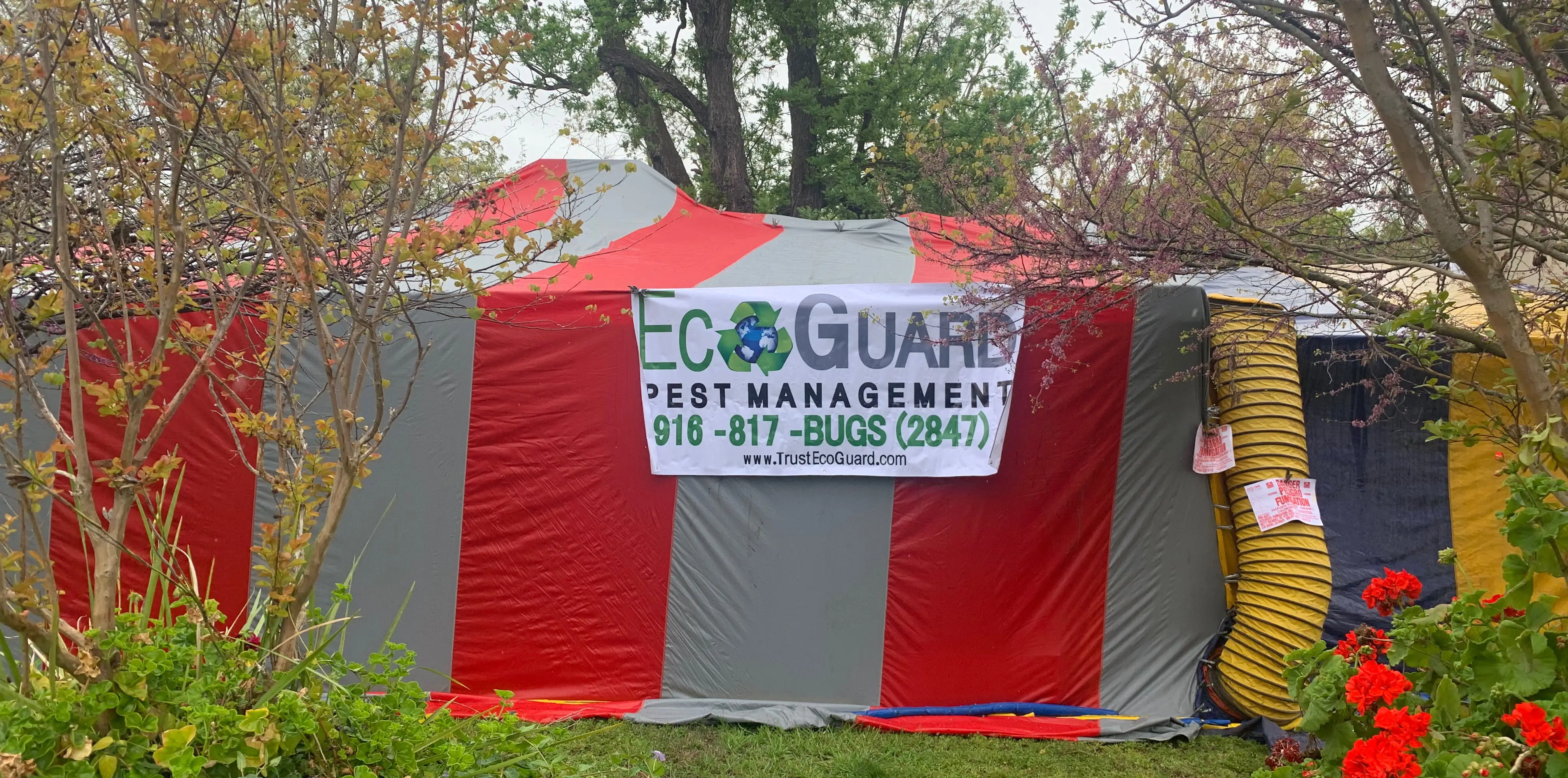 Home covered with fumigation tent for termite treatment