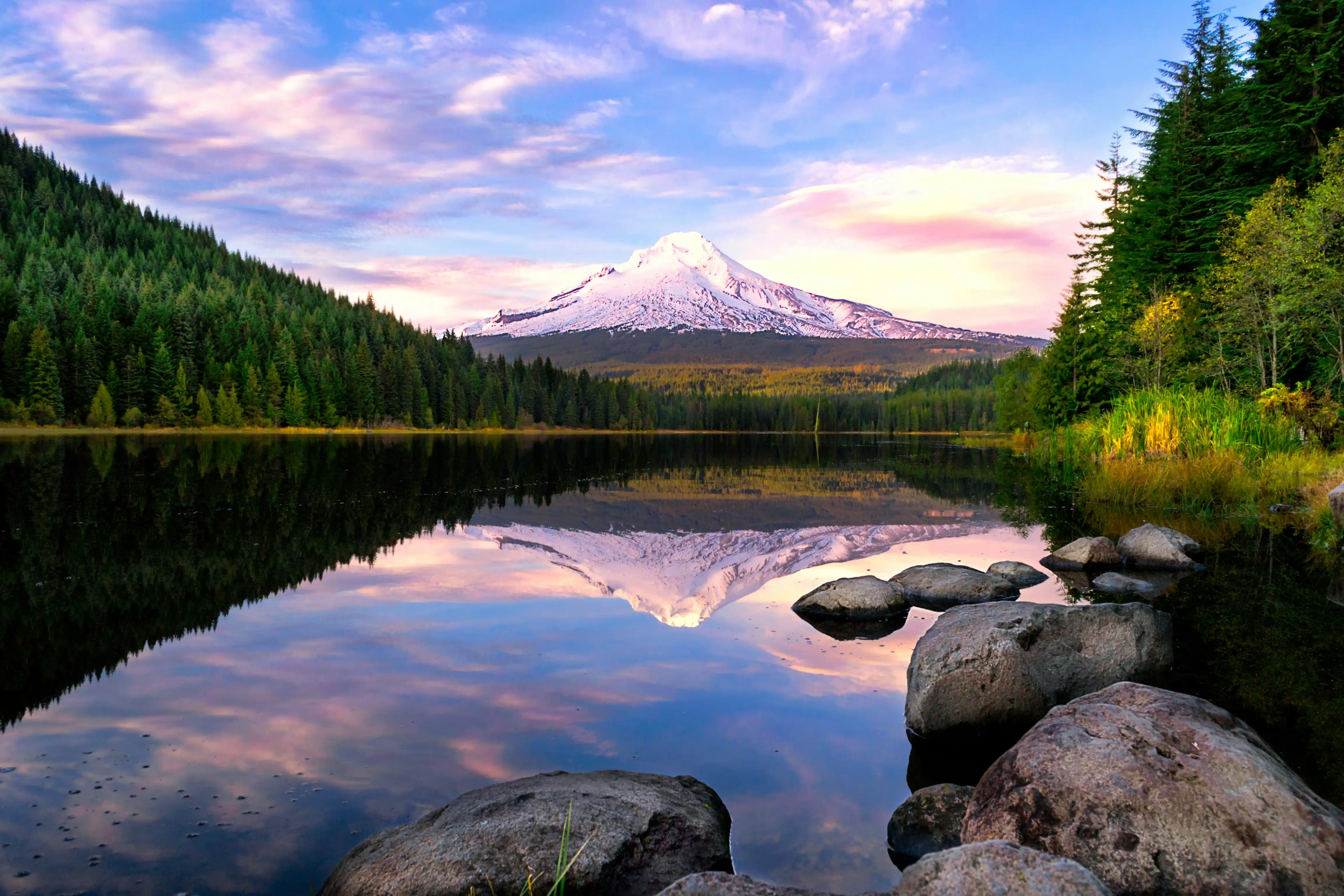 Pest control services in Oregon