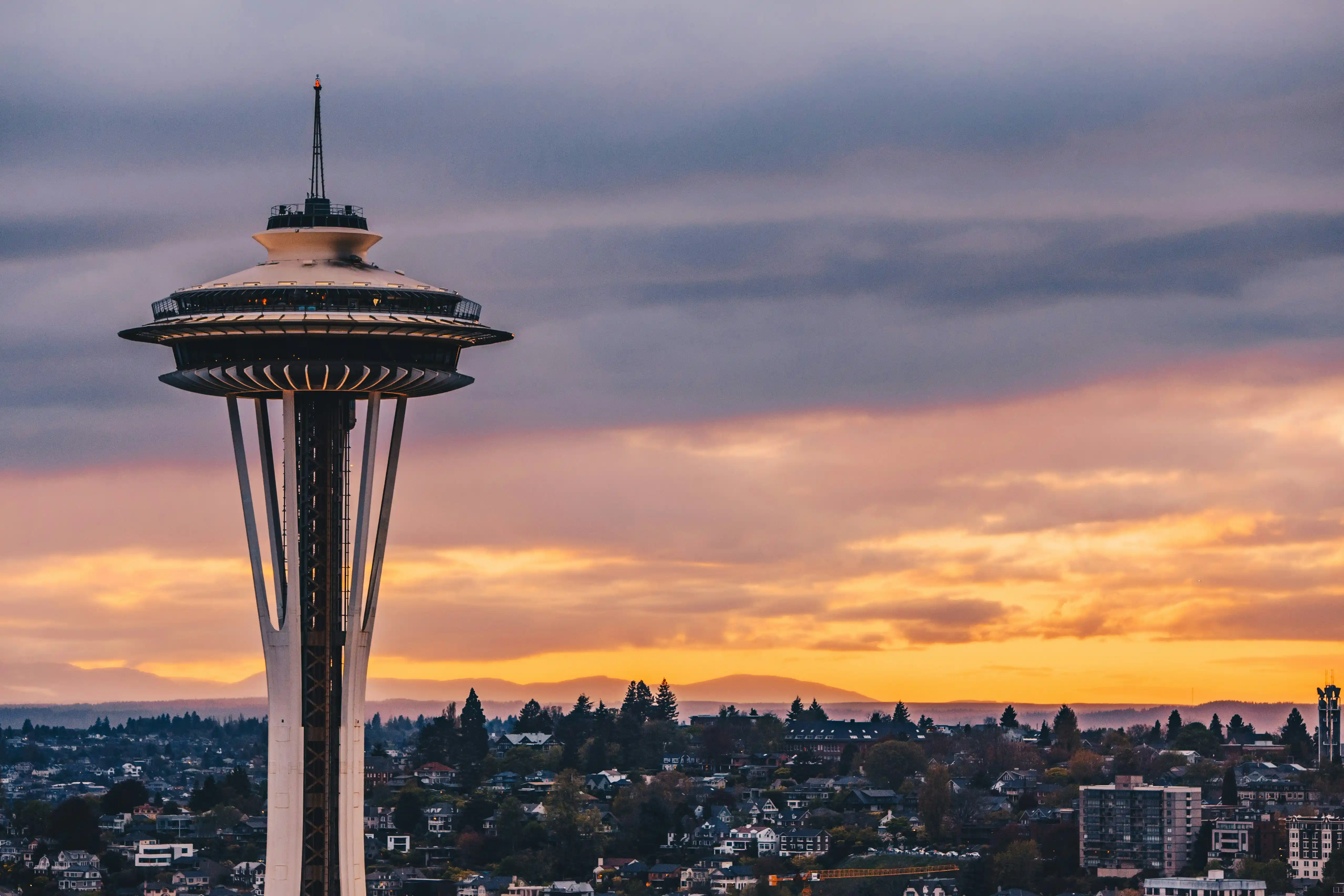 Pest control services in Washington