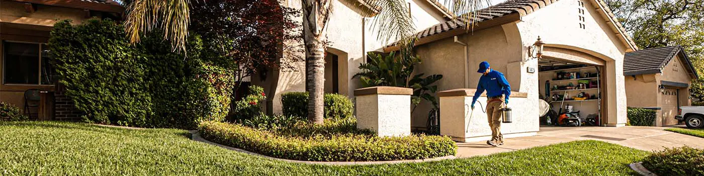 Professional ant control technician inspecting and treating residential property for ant infestation