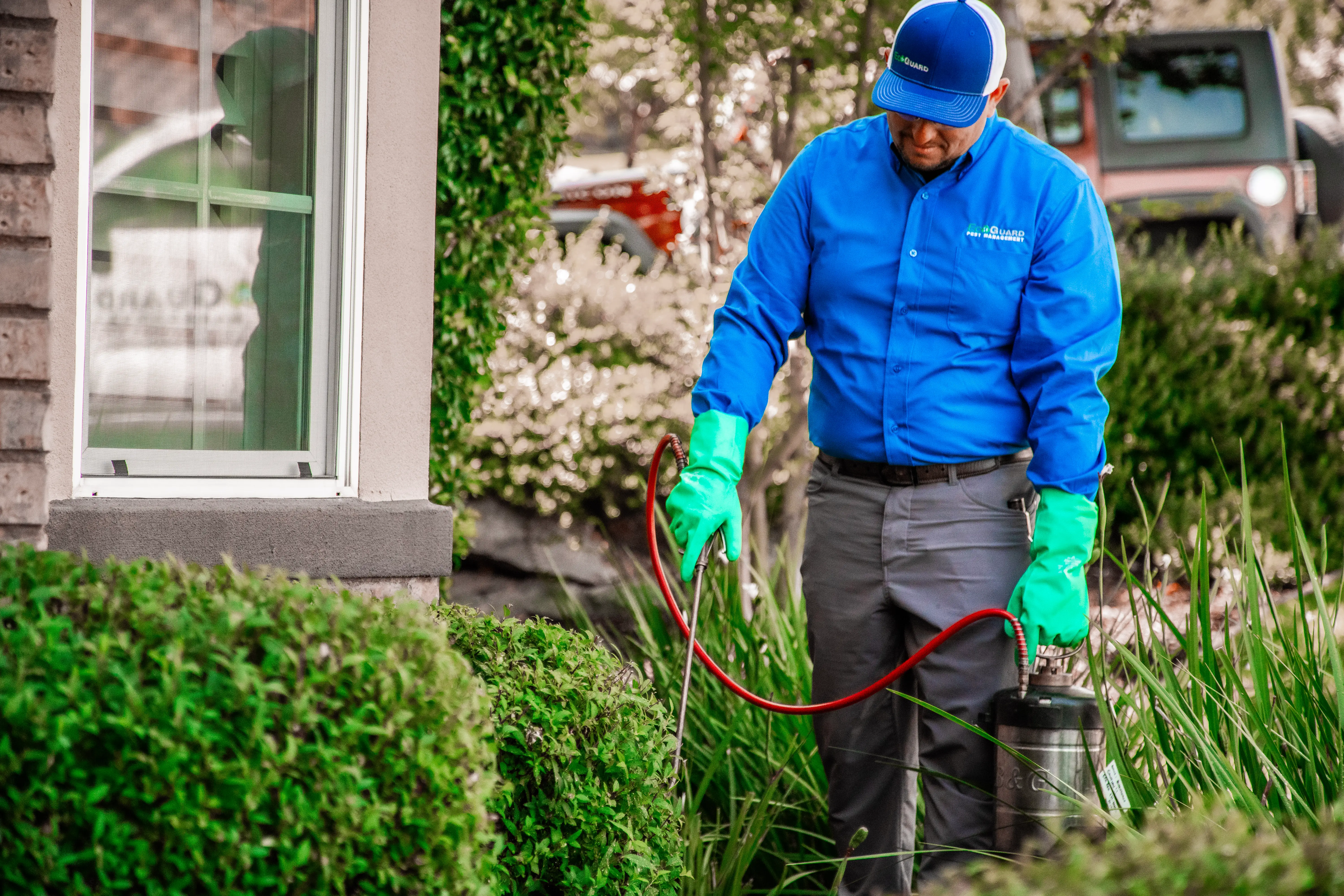 Professional pest control spraying around home perimeter