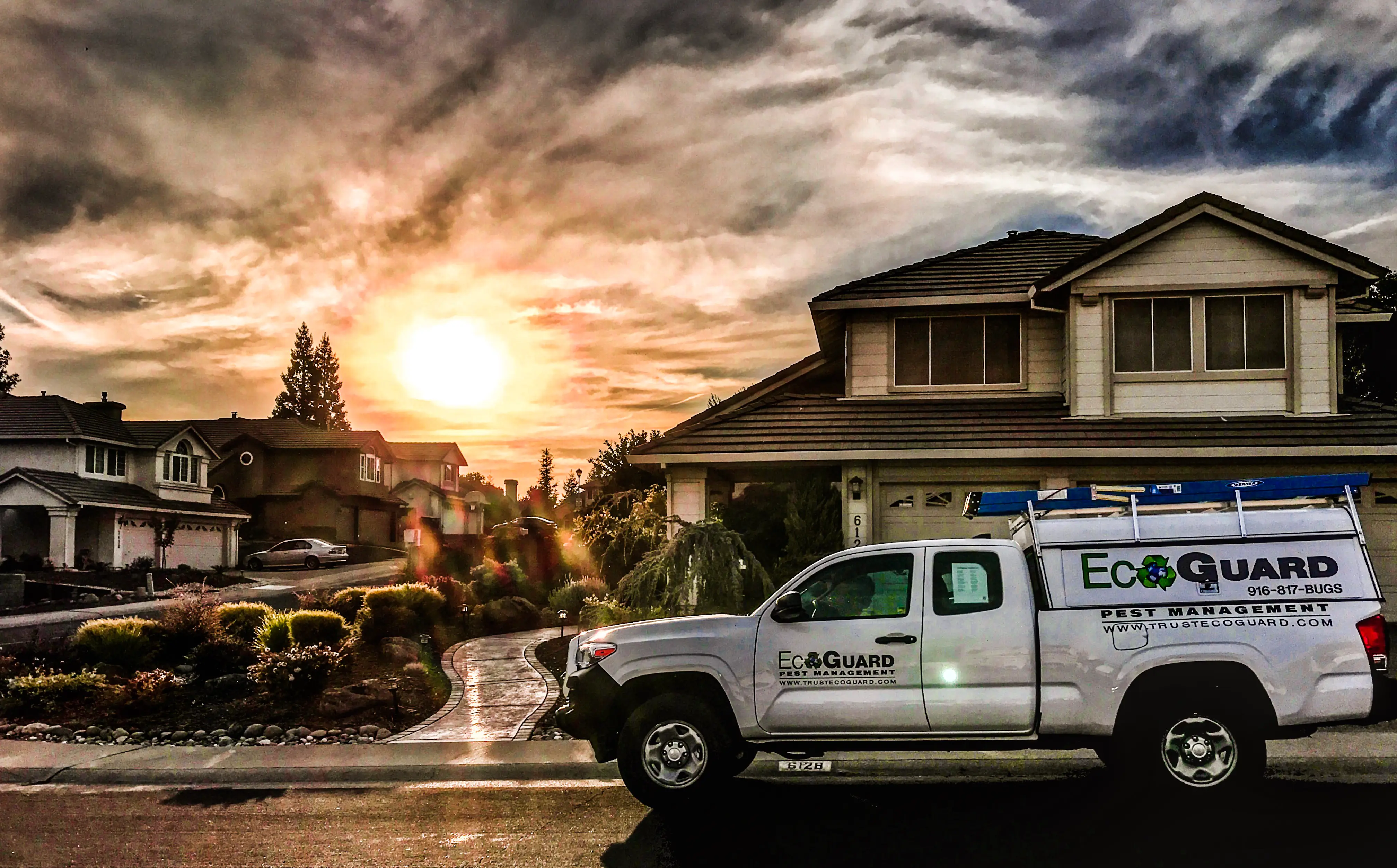 How to Prepare for an Exterminator: Complete Checklist