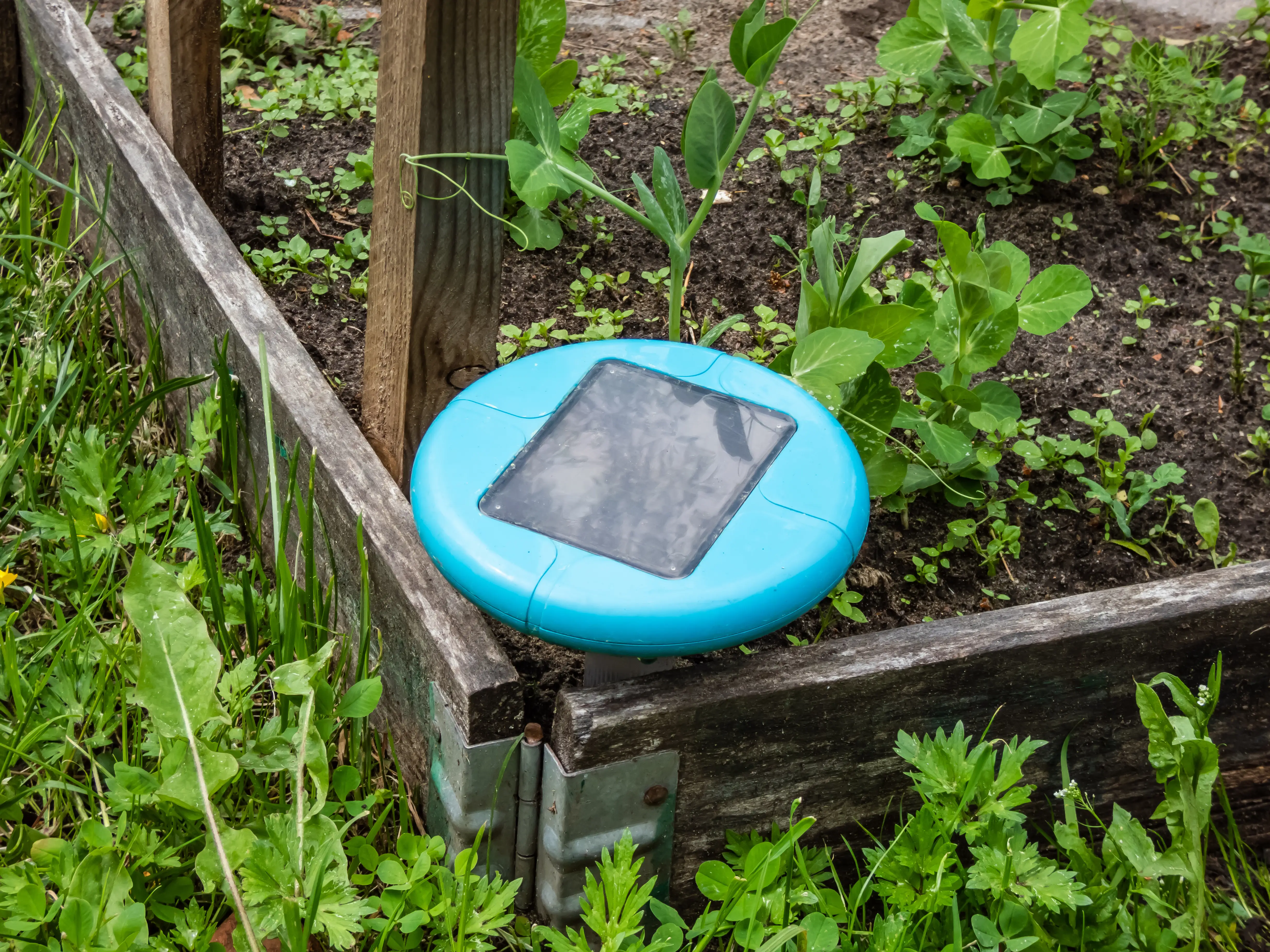 Do Ultrasonic Pest Repellers Work? The Truth About These Devices