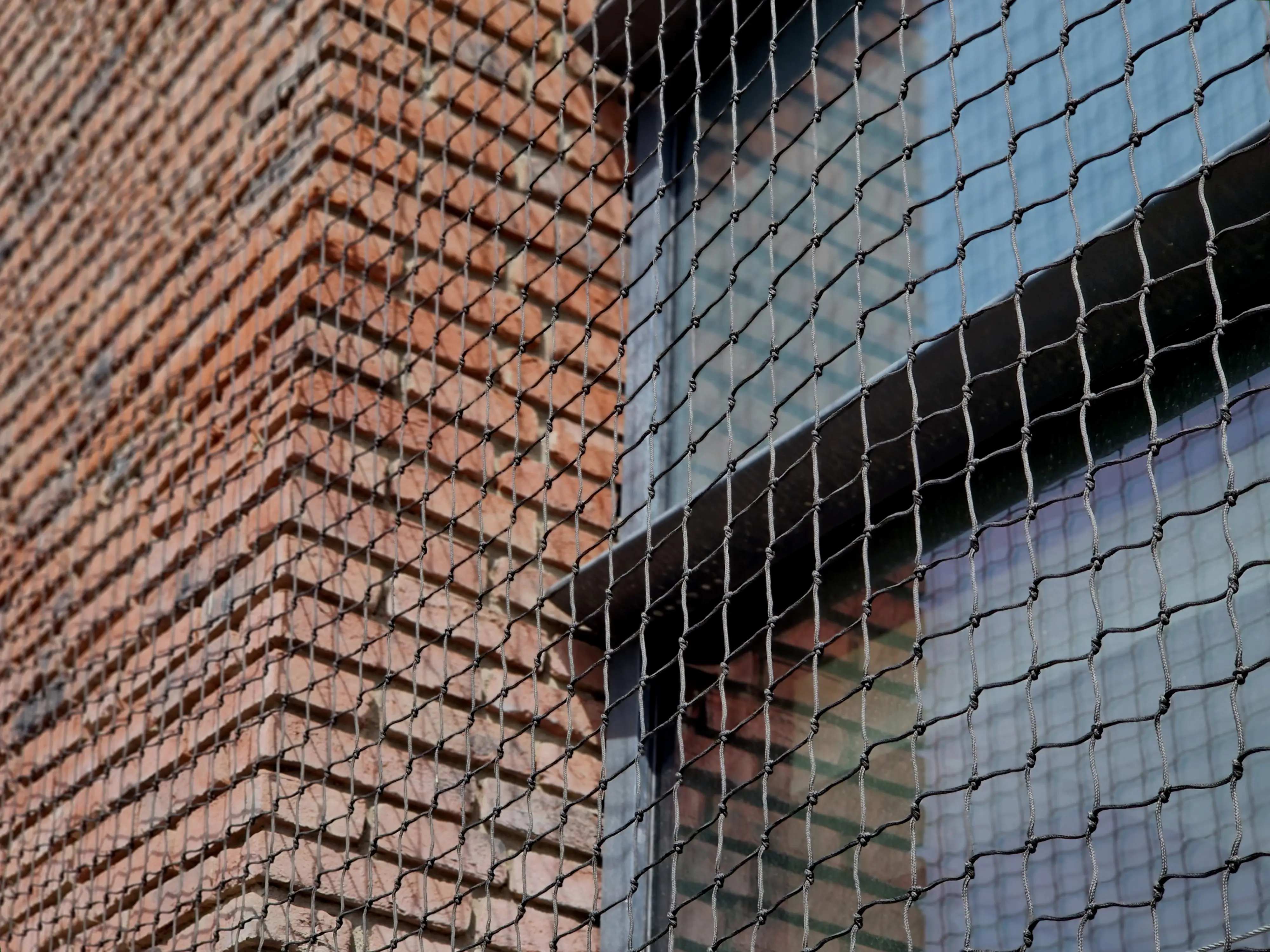 Overhead wire grid system installed over rooftop to prevent seagull landing