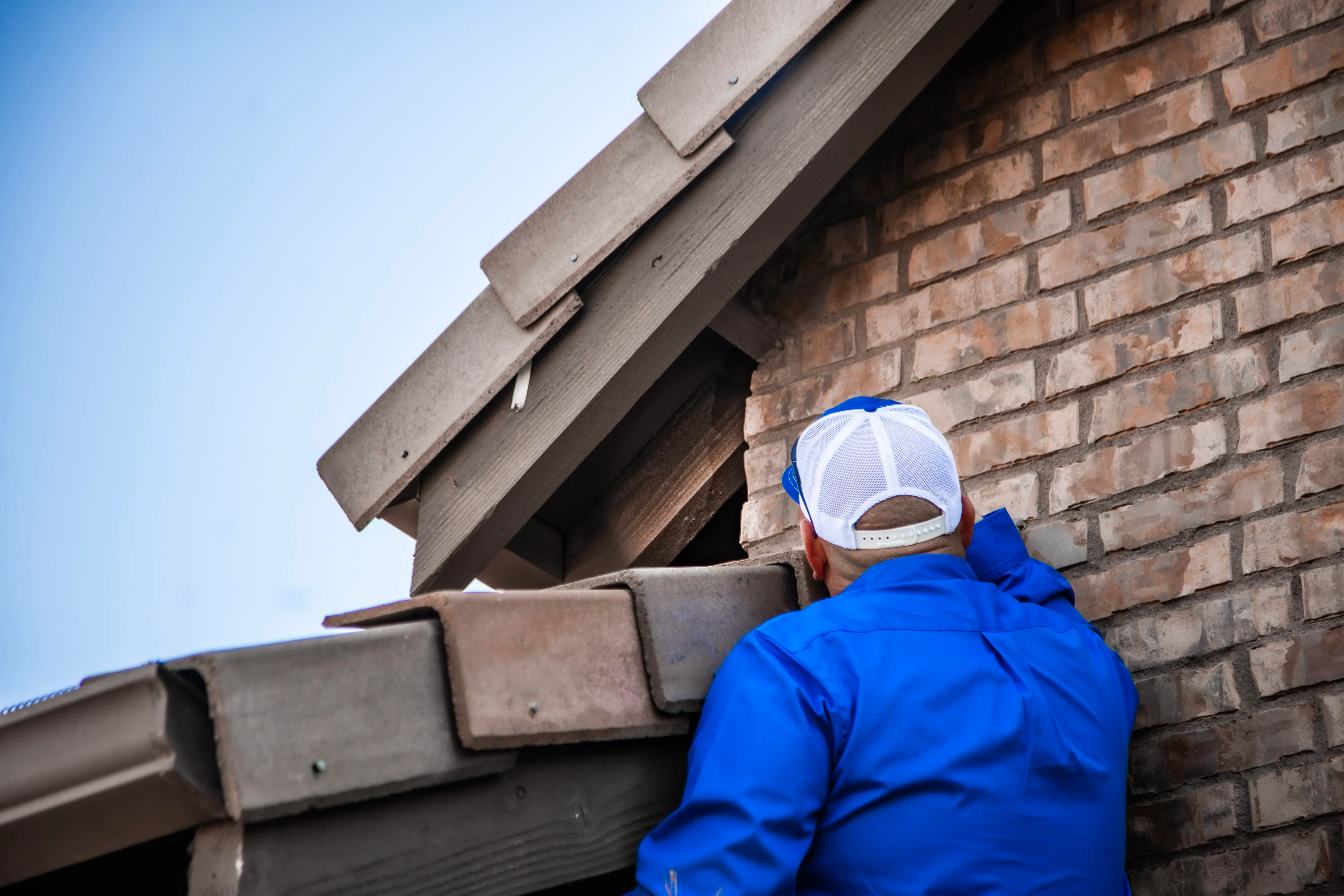 Technician inspecting property for yellow jacket nest locations